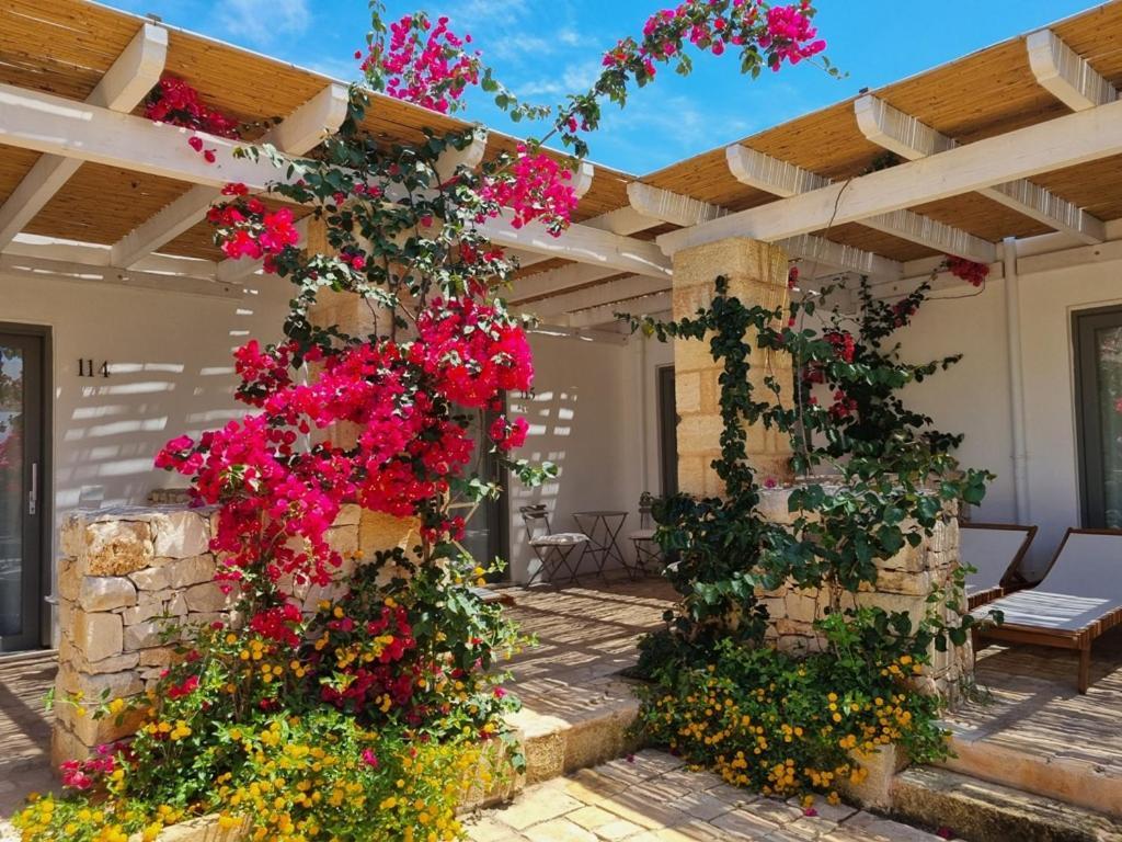 Masseria Baroni Di Montesardo Lido Marini Zewnętrze zdjęcie
